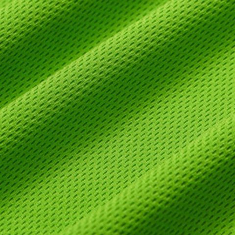 green Polyester Bird Eye Fabric