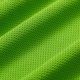 green Polyester Bird Eye Fabric