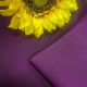 RS002details2